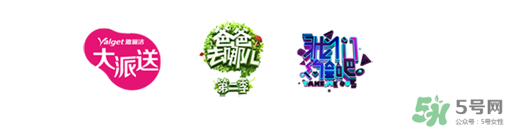 雅麗潔這個牌子怎么樣？雅麗潔是哪國的牌子