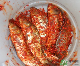 腌魚放多少鹽？腌魚放鹽的比例