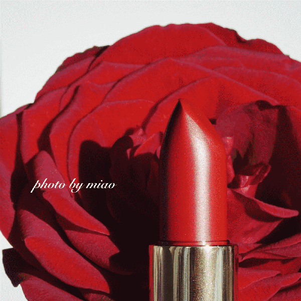 蘭蔻菁純絲絨唇膏290多少錢？蘭蔻菁純絲絨唇膏290專柜價格