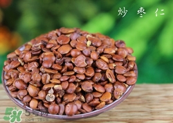 酸棗仁粉怎么吃?酸棗仁粉的功效與作用 酸棗仁粉怎么吃?酸棗仁粉的功效與作用