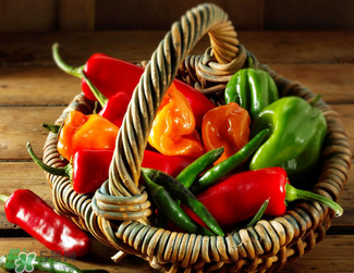 新鮮辣椒可以冷凍嗎？新鮮辣椒怎么保存冰箱？