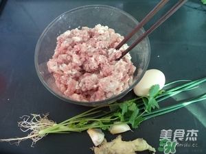 肉丸子可以用面粉嗎？肉丸子用什么粉？