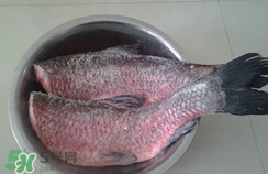 新鮮魚怎么腌制咸魚塊？咸魚塊怎么腌制