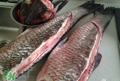 新鮮魚怎么腌制咸魚塊？咸魚塊怎么腌制