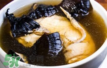 靈芝可以泡水喝嗎?靈芝泡水喝的功效與作用 靈芝可以泡水喝嗎?靈芝泡水喝的功效與作用