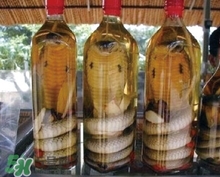 靈芝可以泡酒喝嗎?靈芝泡酒的功效與作用 靈芝可以泡酒喝嗎?靈芝泡酒的功效與作用