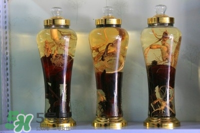 靈芝可以泡酒喝嗎?靈芝泡酒的功效與作用 靈芝可以泡酒喝嗎?靈芝泡酒的功效與作用