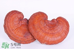 靈芝可以長(zhǎng)期服用嗎?靈芝長(zhǎng)期吃有副作用嗎 靈芝可以長(zhǎng)期服用嗎?靈芝長(zhǎng)期吃有副作用嗎