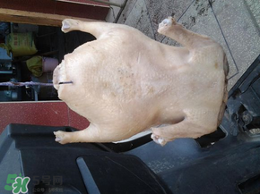 腌鴨子要腌多長(zhǎng)時(shí)間？腌鴨子需要多長(zhǎng)時(shí)間？