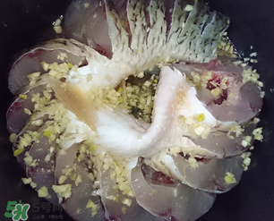 腌魚用什么魚？什么魚腌制好吃？