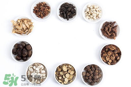 黨參可以泡水喝嗎?黨參泡水喝的功效與作用 黨參可以泡水喝嗎?黨參泡水喝的功效與作用