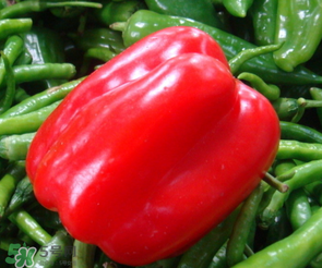 辣椒變紅能吃嗎？辣椒為什么會(huì)變紅？