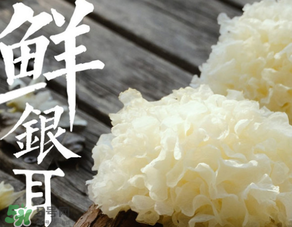 新鮮銀耳有毒嗎？新鮮銀耳怎么去毒？