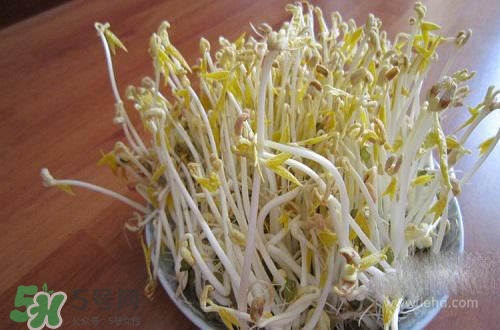 豆芽糖尿病可以吃嗎？糖尿病吃豆芽有什么好處？