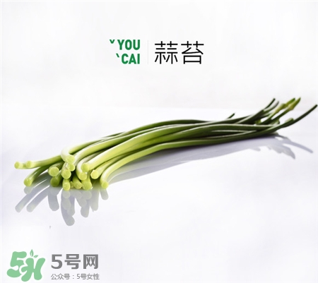 蒜苔的營(yíng)養(yǎng)價(jià)值 蒜苔的功效與作用 蒜苔的營(yíng)養(yǎng)價(jià)值 蒜苔的功效與作用