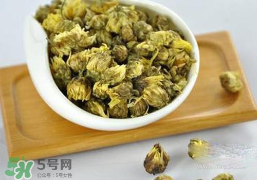 金銀花和菊花哪個去火效果好一些？金銀花和菊花茶哪個好？