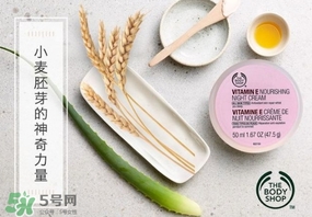 the body shop維e晚霜怎么用？美體小鋪維e晚霜使用方法