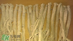 黨參和蘿卜能一起吃嗎?一起吃會怎么樣 黨參和蘿卜能一起吃嗎?一起吃會怎么樣