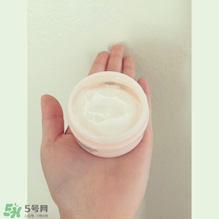 the body shop維e晚霜怎么用？美體小鋪維e晚霜使用方法
