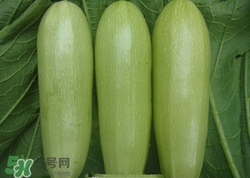 菜瓜是什么瓜?菜瓜的功效與作用 菜瓜是什么瓜?菜瓜的功效與作用