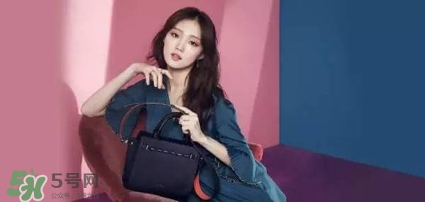 李圣經(jīng)的包包什么牌子？李圣經(jīng)包包同款