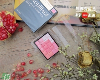 資生堂心機(jī)腮紅真假 資生堂心機(jī)腮紅真假辨別 資生堂心機(jī)腮紅真假 資生堂心機(jī)腮紅真假辨別