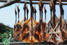 臘鴨太咸了怎么辦？臘鴨太咸了怎么處理？