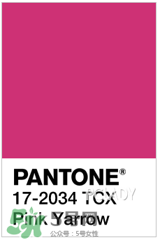 2017年指甲流行什么顏色？2017年流行什么指甲？