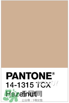 2017年指甲流行什么顏色？2017年流行什么指甲？