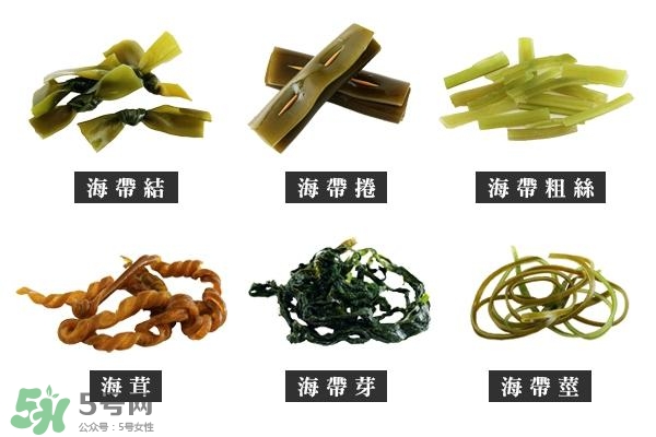 海帶上的白霜是什么？海帶上面有白色的東西那是什么