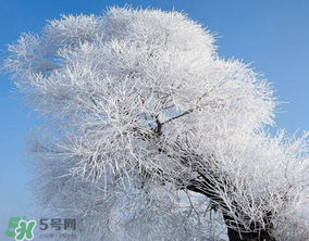 2017年第一場雪什么時(shí)候？2017年什么時(shí)候下雪？