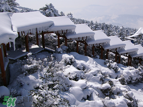 2017年第一場雪什么時(shí)候？2017年什么時(shí)候下雪？