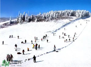 2017年三九四九是什么時候？2017年四九是哪天？