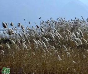 五九是什么時候？2017年五九是哪一天？