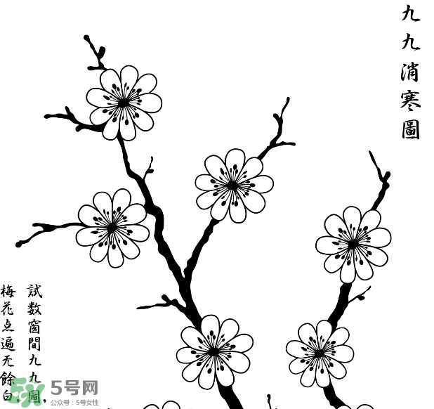 數(shù)九天什么時(shí)候最冷？數(shù)九天幾九最冷？