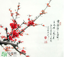 數(shù)九天什么時(shí)候最冷？數(shù)九天幾九最冷？