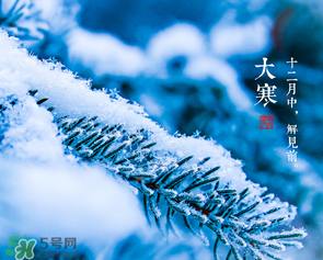 大寒是幾九？2017年大寒是幾九？