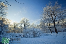 2017年過年天氣怎么樣？2017過年會(huì)下雨嗎？