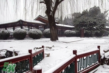 2017年過年會(huì)下雪嗎？2017年過年天氣情況