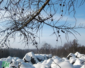 二九是幾月幾號(hào)？2017年二九是哪天？