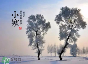 小寒和大寒哪個冷？小寒大寒什么意思？