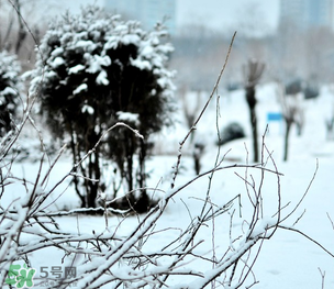 小寒和大寒哪個冷？小寒大寒什么意思？