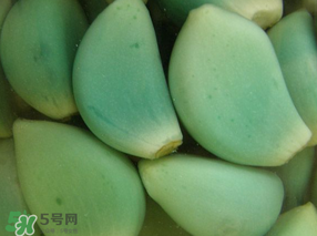 臘八醋里的蒜能吃嗎？臘八醋里的蒜好吃嗎？