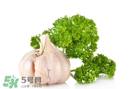 2017過年大蒜會(huì)漲價(jià)嗎？2017年春節(jié)大蒜價(jià)格預(yù)測(cè)