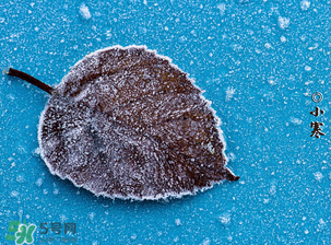 小寒是幾九？2017年小寒是幾九？