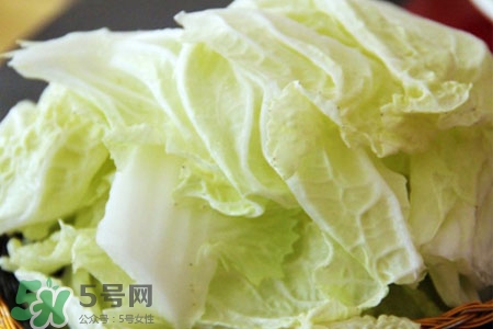 2017過年白菜會漲價嗎？2017年春節(jié)白菜價格預(yù)測