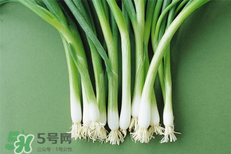 2017過年大蔥會(huì)漲價(jià)嗎？2017年春節(jié)大蔥價(jià)格預(yù)測(cè)