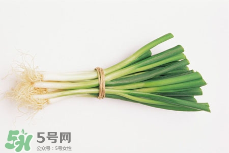 2017過年大蔥會(huì)漲價(jià)嗎？2017年春節(jié)大蔥價(jià)格預(yù)測(cè)