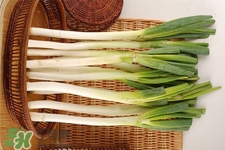 2017過年大蔥會(huì)漲價(jià)嗎？2017年春節(jié)大蔥價(jià)格預(yù)測(cè)