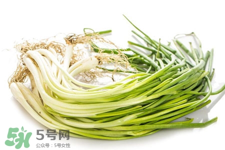 2017過(guò)年小蔥會(huì)漲價(jià)嗎？2017年春節(jié)小蔥價(jià)格預(yù)測(cè)